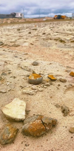 Photo of sand being dumped in Anapa with a large clay fraction and stones. Photo: ANAPA GRAZHDANSKAYA City Public Relations / Telegram Channel Photo of sand being dumped in Anapa with a large clay fraction and stones