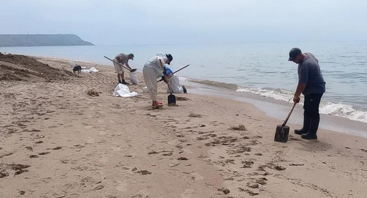 Cleaning up a fresh oil spill on the beach in the village of Volna. Screenshot from the "Dolphins" headquarters photo from May 23, 2026, https://t.me/shtab_delfin/2745.