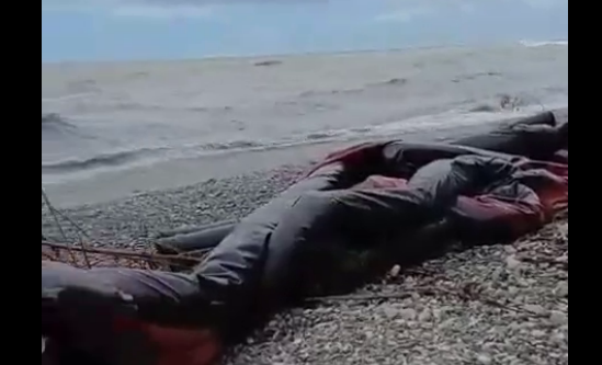 Oil booms on Primorsky Beach in Tuapse. Screenshot from the Telegram channel "My Tuapse" from May 31, 2026, https://t.me/my_tuapse/35688. Oil booms on Primorsky Beach in Tuapse. Screenshot from the Telegram channel "My Tuapse" from May 31, 2026, https://t.me/my_tuapse/35688.