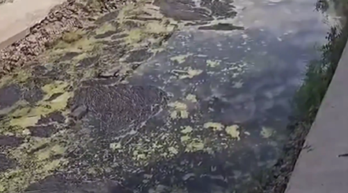 Still from a video message from Bataysk residents complaining about a polluted lake. Photo: Bloknot Rostov-on-Don / VKontakte