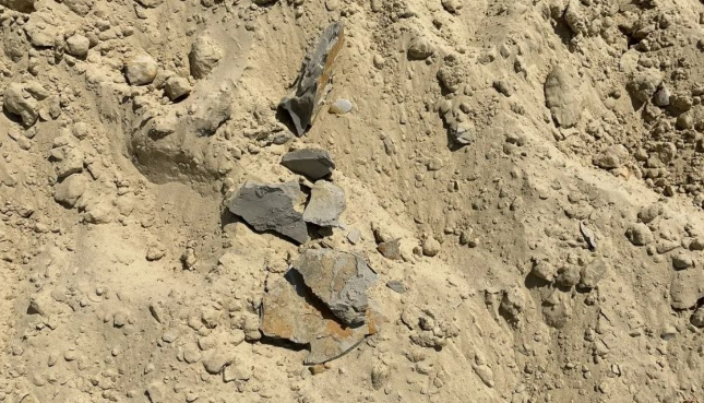The condition of the sand at the "Caucasus" beach. Screenshot from the Telegram channel of Yuri Ozarovsky dated 04.07.26, https://t.me/MoreOz/128064?single. The condition of the sand at the "Caucasus" beach. Screenshot from the Telegram channel of Yuri Ozarovsky dated 04.07.26, https://t.me/MoreOz/128064?single.