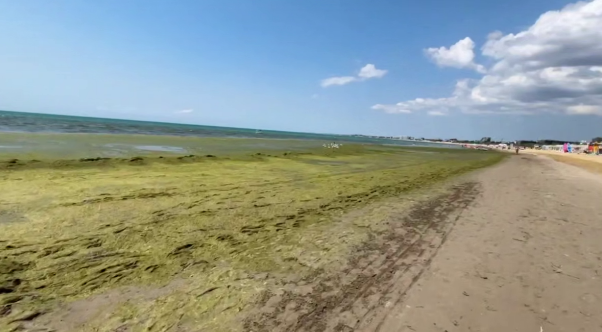 The sea by the beach near the Grand Hotel. A still from Yuri Ozarovsky's video from 08.07.26, https://t.me/MoreOz/128338. The sea by the beach near the Grand Hotel. A still from Yuri Ozarovsky's video from 08.07.26, https://t.me/MoreOz/128338.