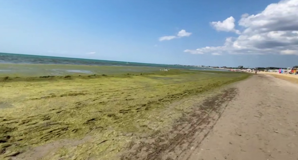 The sea by the beach near the Grand Hotel. A still from Yuri Ozarovsky's video from 08.07.26, https://t.me/MoreOz/128338.
