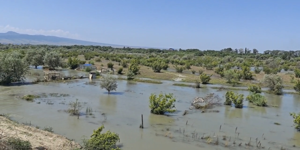 Erosion of the banks of the Sulak River. Frame from a video by the administration of the Kizilyurt district / Telegram Erosion of the banks of the Sulak River. Frame from a video by the administration of the Kizilyurt district / Telegram