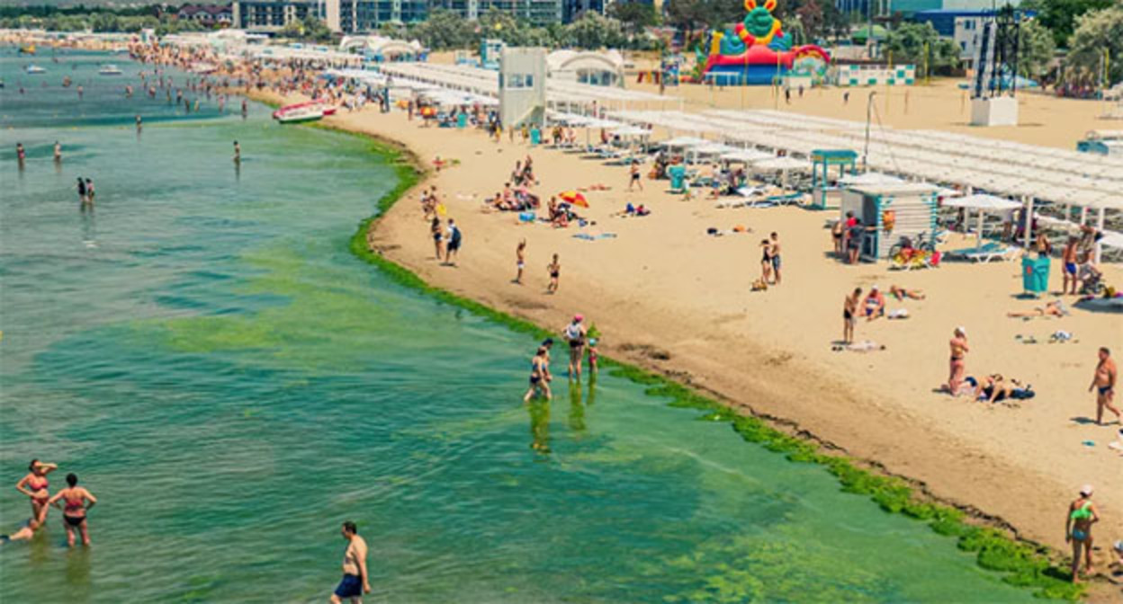 Seaweed on the beach in Anapa. Photo: Anton Bykov, Yuga.ru