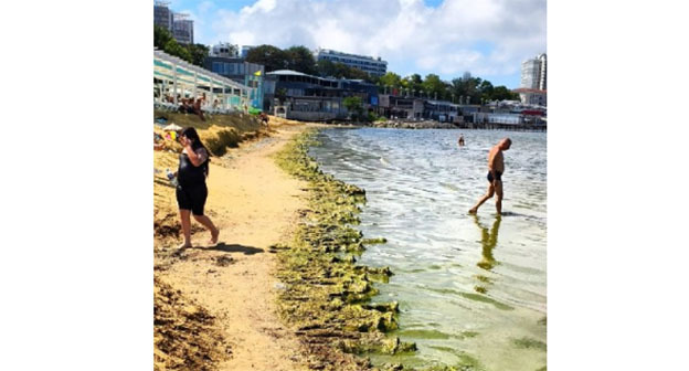 Beach in Anapa. August 20, 2026. Photo: https://t.me/makovozovy/66614 Beach in Anapa. August 20, 2026. Photo: https://t.me/makovozovy/66614