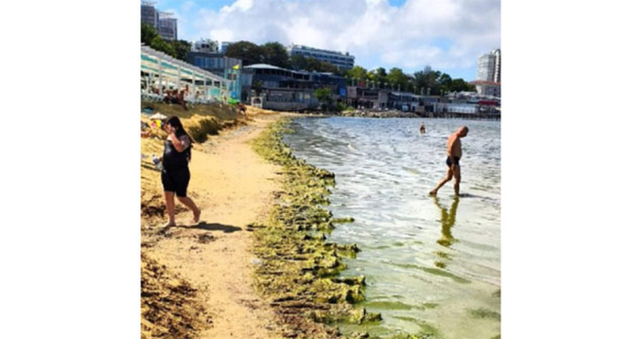 Beach in Anapa. August 20, 2026. Photo: https://t.me/makovozovy/66614